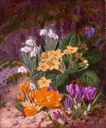 Photo of "SPRING FLOWERS" by THOMAS WORSEY