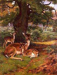 Photo of "WOODLANDS, 1891" by WRIGHT(REVIVED COPYRIGHT BARKER