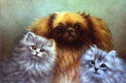 Photo of "KITTENS TAKING A PEKE." by AGNES AUGUSTA-REVIVED CO TALBOYS