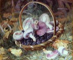 Photo of "BLACKBERRIES AND MUSHROOMS IN WOODLAND" by JABEZ BLIGH