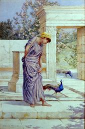 Photo of "SUMMER IS HERE" by HENRY RYLAND