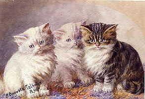 Photo of "THREE PUSSIES ALL IN A ROW." by AGNES AUGUSTA TALBOYS