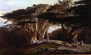 Photo of "THE CEDARS OF LEBANON, 1870" by EDWARD LEAR