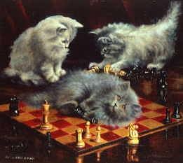 Photo of "CHECKMATE" by AGNES AUGUSTA-REVIVED CO TALBOYS