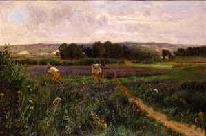 Photo of "SCYTHING A MEADOW" by JOHN CLAYTON ADAMS