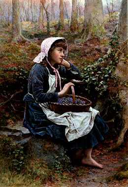 Photo of "VIOLETS" by HENRY JOHN JOHNSTONE