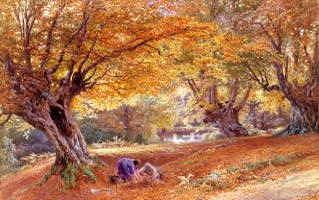 Photo of "BURNHAM BEECHES, BUCKINGHAMSHIRE, ENGLAND" by MYLES BIRKET FOSTER