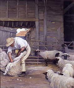Photo of "SHEEPSHEARING" by ALEXANDER MANN