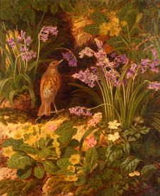 Photo of "A SONG THRUSH,1861" by THOMAS WORSEY