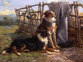 Photo of "COLLIES BY A PEN" by JOHN SARGENT NOBLE