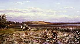 Photo of "GATHERING IN THE REEDS" by DAVID FARQUHARSON