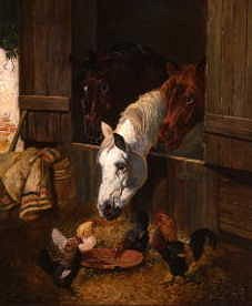 Photo of "FARMYARD COMPANIONS" by JOHN FREDERICK,- STUDIO HERRING