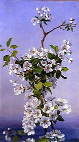 Photo of "BLOSSOM" by SOPHIE ANDERSON