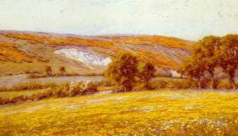 Photo of "A BUTTERCUP FIELD" by HELEN ALLINGHAM