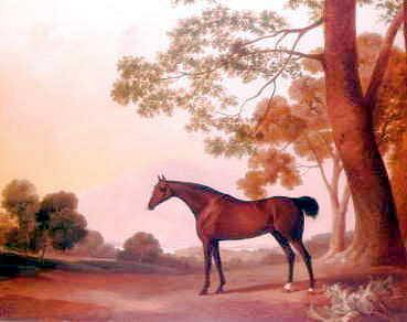 Photo of "EMMANUEL" by GEORGE STUBBS