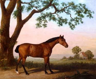 Photo of "BAY HORSE WITH WHITE SOCK" by GEORGE STUBBS