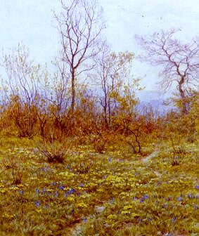 Photo of "A PRIMROSE COPSE." by HELEN ALLINGHAM