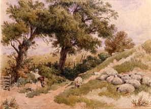 Photo of "SHEEP FEEDING" by MYLES BIRKET FOSTER